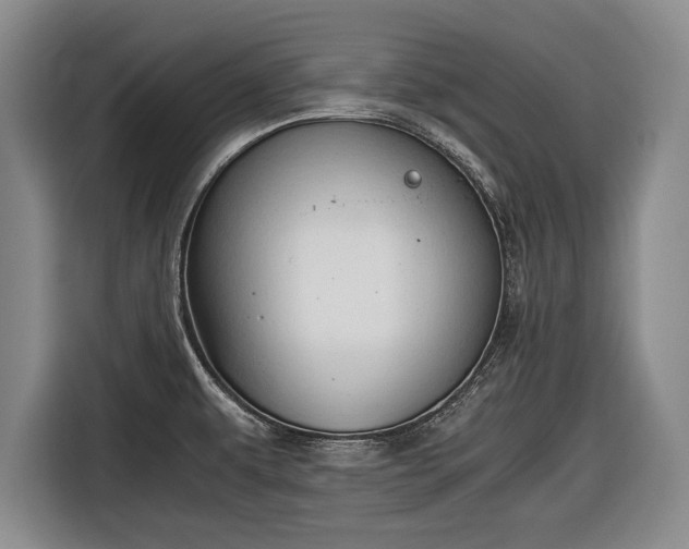 X0000116641479200912210951