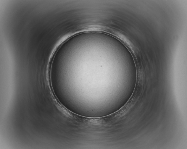 X0000116641480200912210951