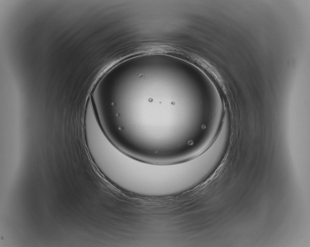 X0000116641481200912210951