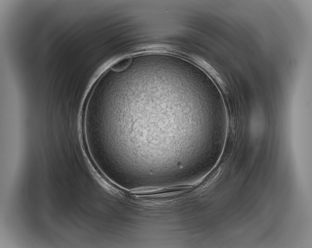 X0000116641482200912210951