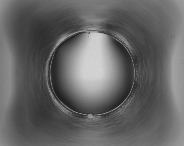 X0000116641483200912210951