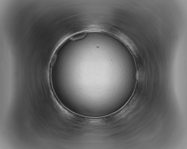 X0000116641484200912210951