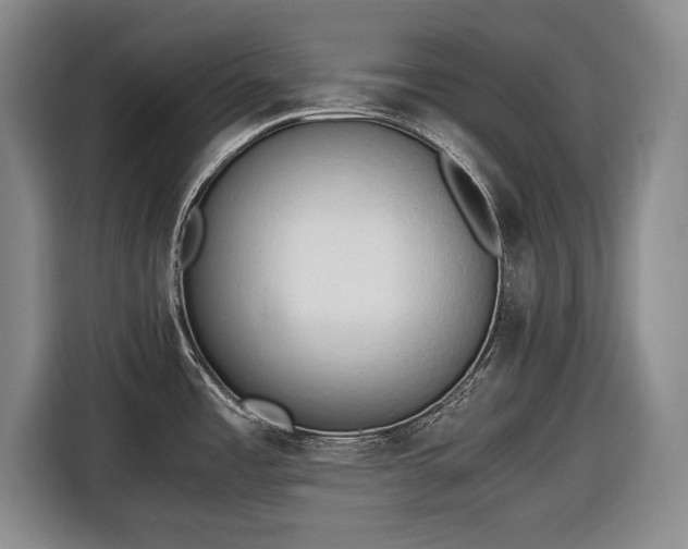 X0000116641485200912210951