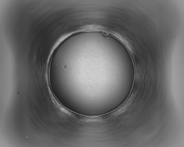 X0000116641486200912210951