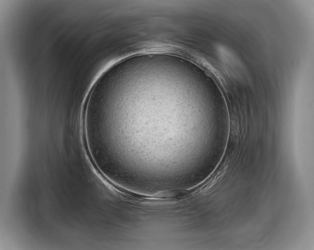 X0000116641487200912210951