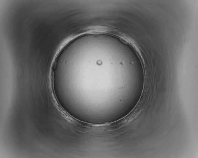 X0000116641488200912210951