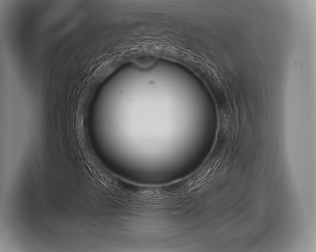 X0000116641489200912210950