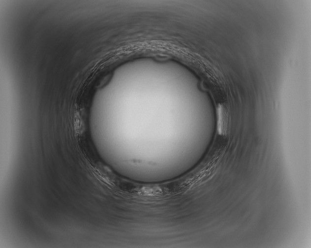 X0000116641491200912210950