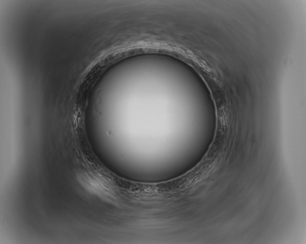 X0000116641495200912210950