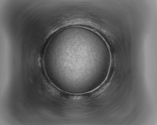 X0000116641497200912210951