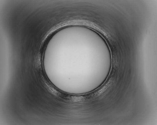 X0000116641498200912210951