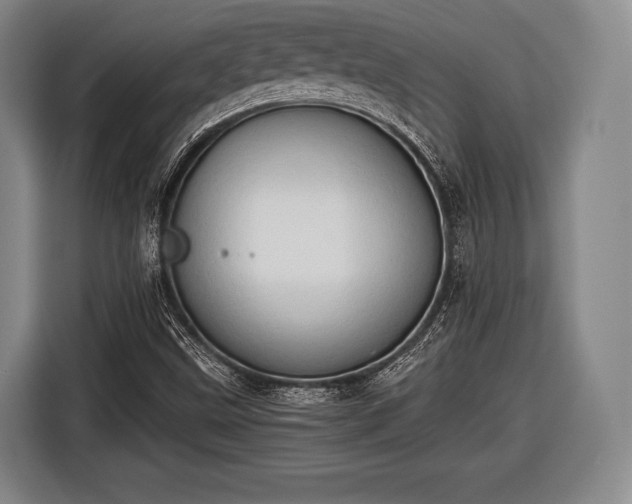 X0000116641499200912210951