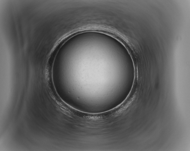 X0000116641501200912210951