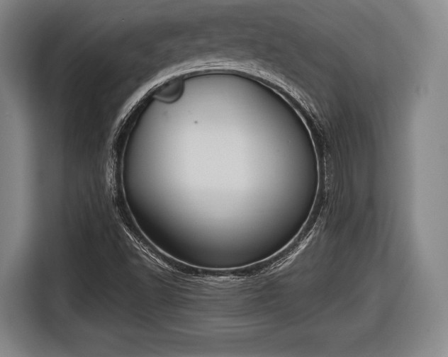 X0000116641502200912210951