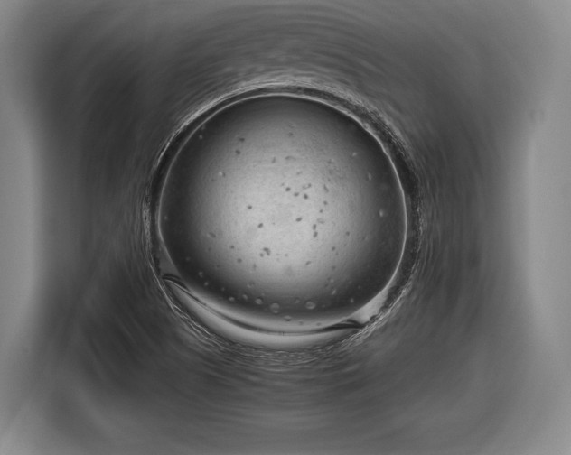 X0000116641505200912210951