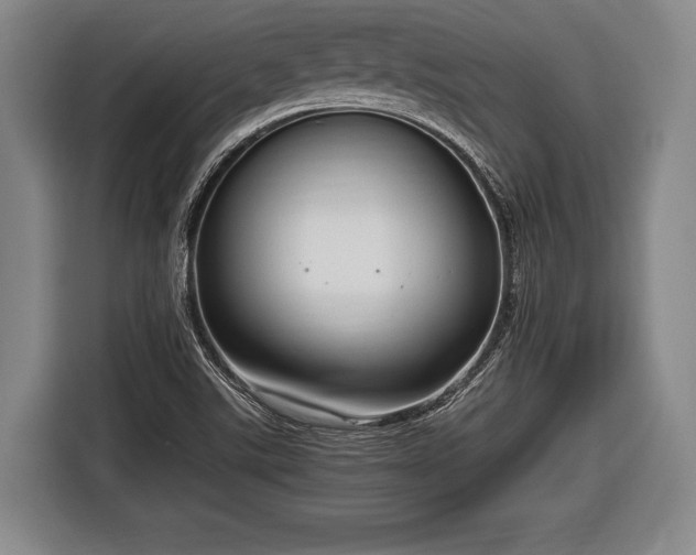 X0000116641507200912210951