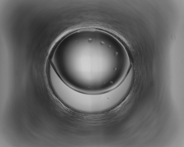 X0000116641510200912210951