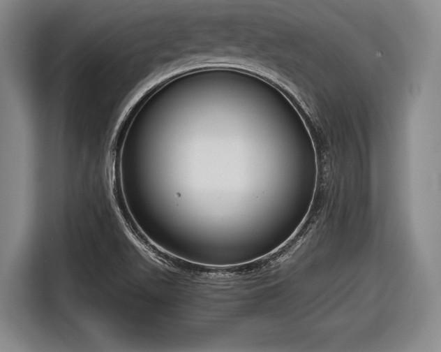 X0000116641511200912210951