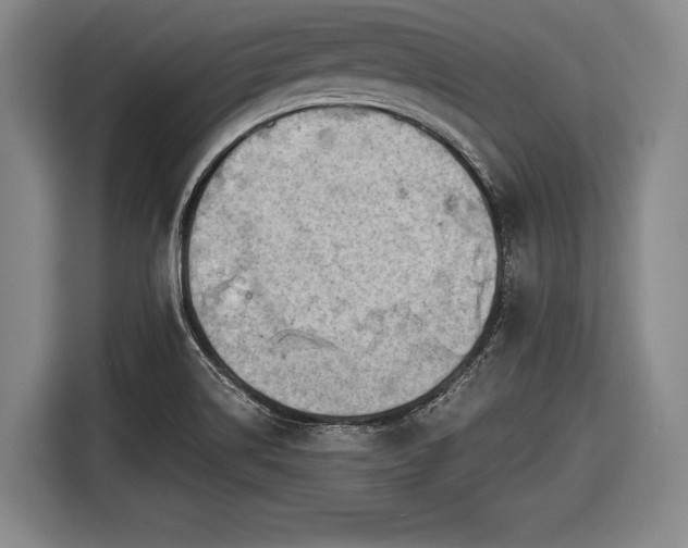 X0000116641514200912210951