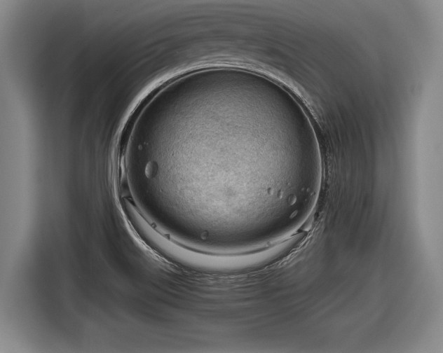 X0000116641515200912210951