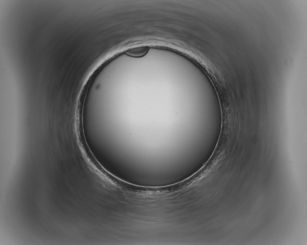 X0000116641518200912210951