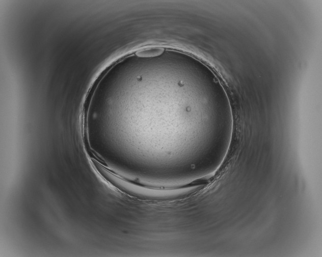 X0000116641519200912210951