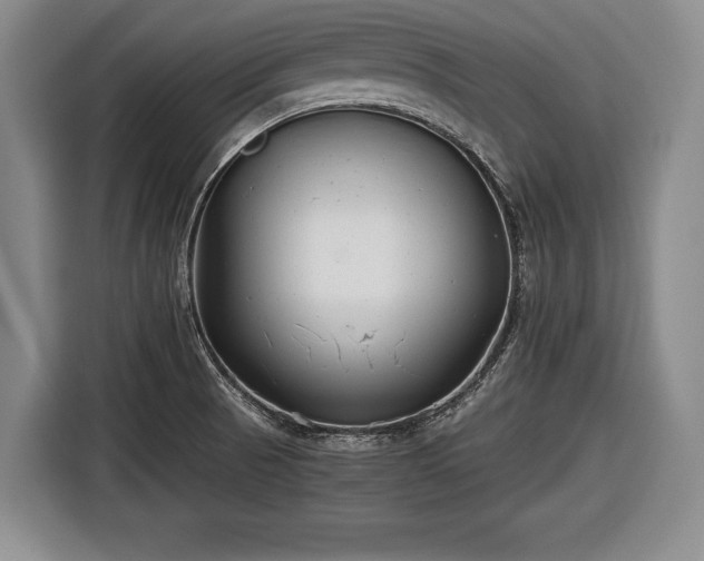 X0000116641521200912210951