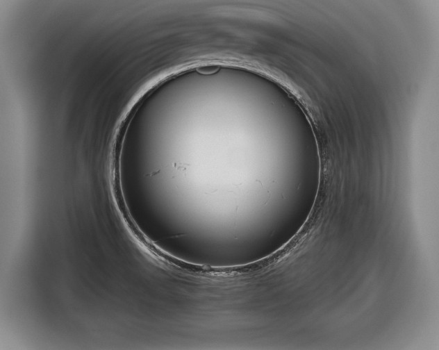 X0000116641523200912210951