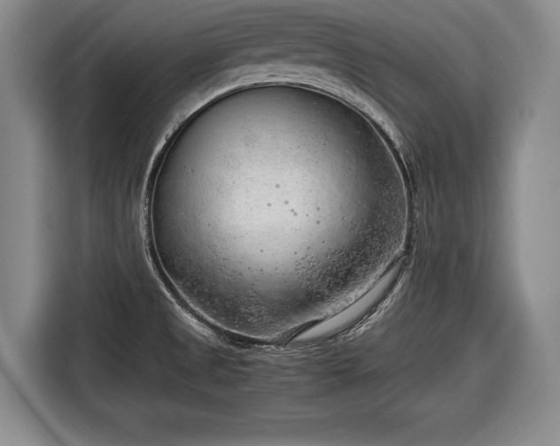 X0000116641525200912210951