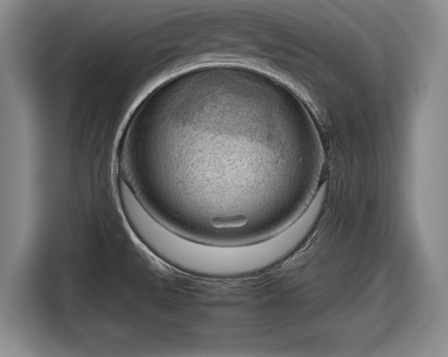 X0000116641527200912210951