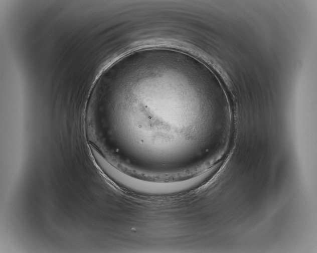 X0000116641529200912210951