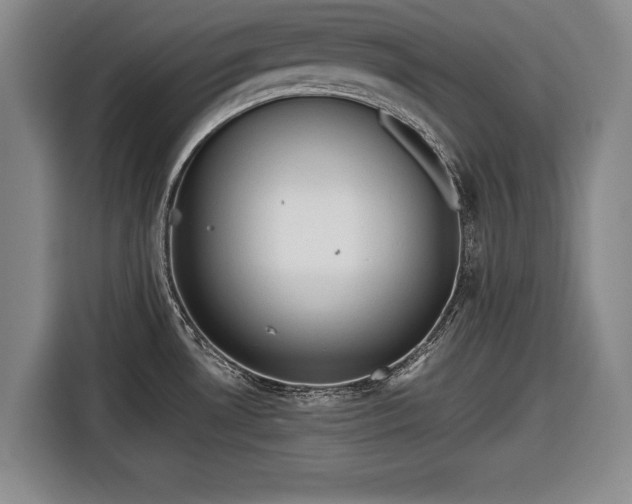 X0000116641530200912210951