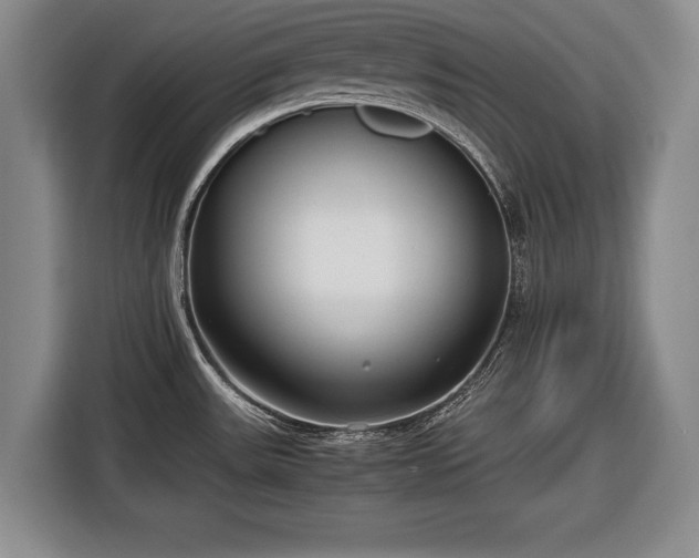 X0000116641531200912210951