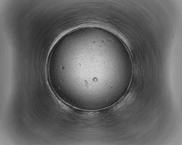 X0000116641533200912210951