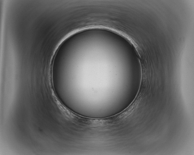 X0000116641534200912210951