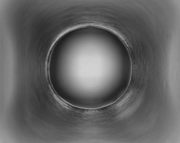 X0000116641535200912210951