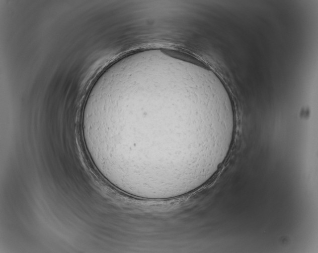 X0000116640001200912291605