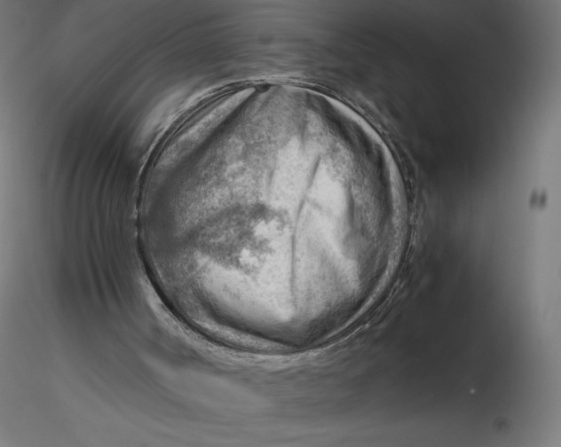 X0000116640002200912291605