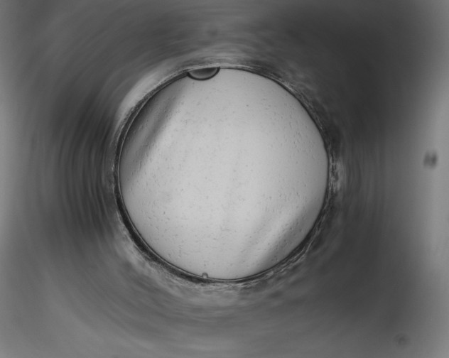 X0000116640004200912291605