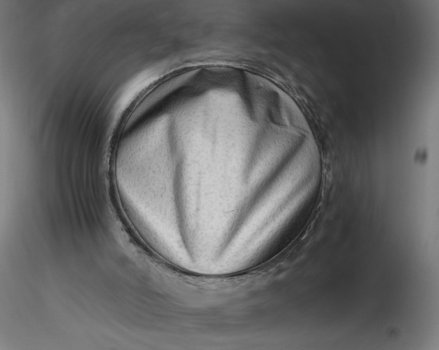 X0000116640006200912291605