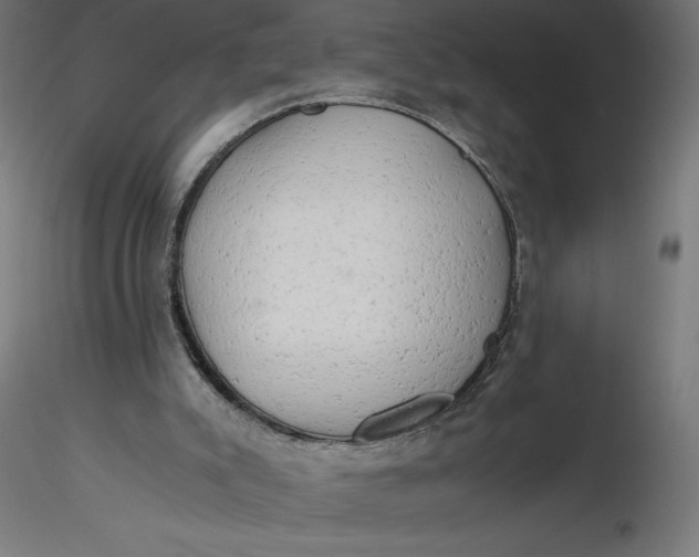 X0000116640007200912291605