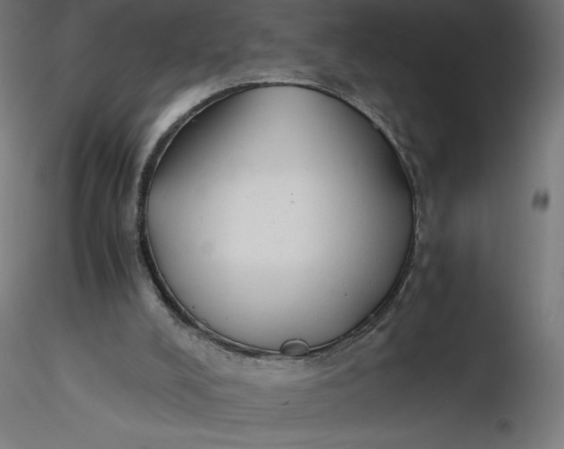 X0000116640008200912291605