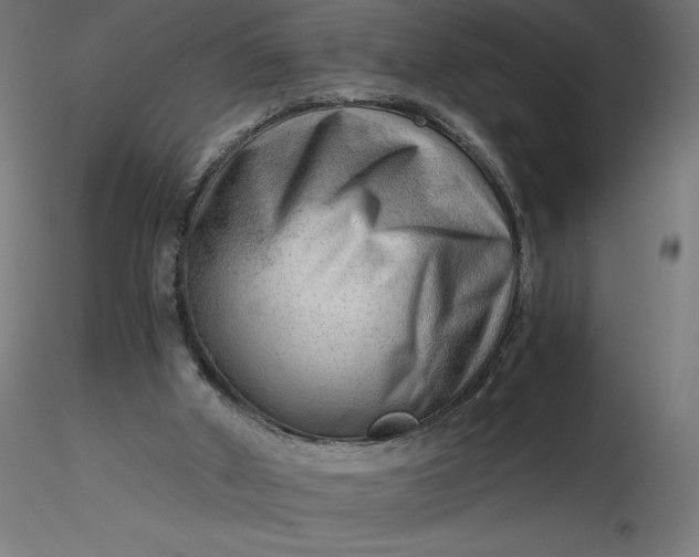 X0000116640010200912291605