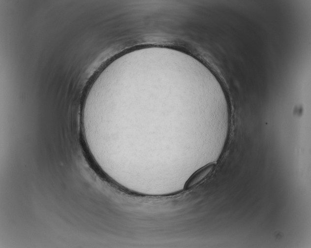 X0000116640011200912291605