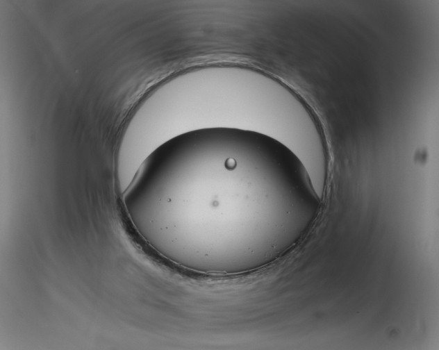 X0000116640013200912291605