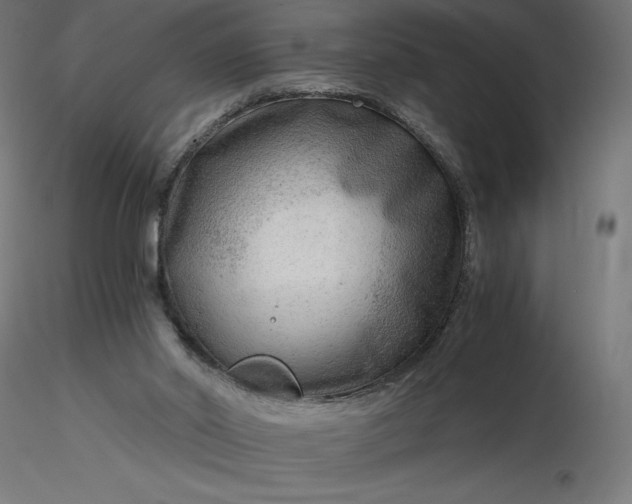 X0000116640014200912291605