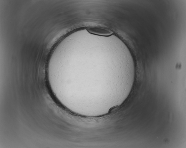 X0000116640015200912291605