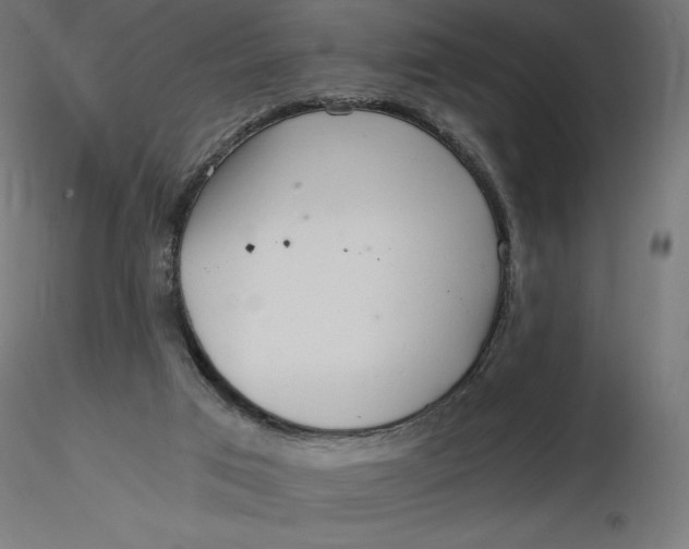 X0000116640017200912291605