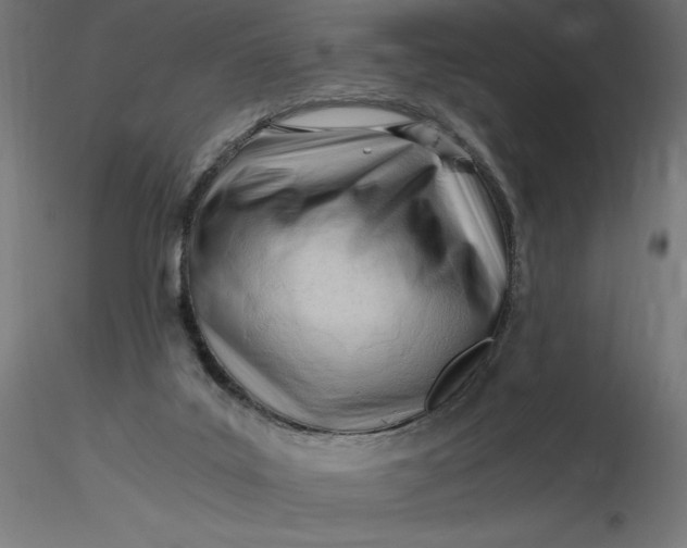 X0000116640019200912291605