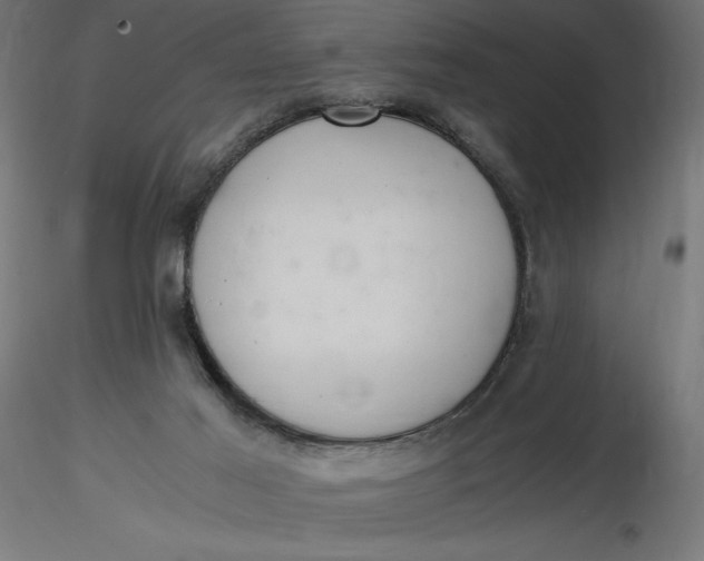 X0000116640021200912291605